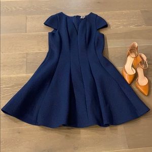 NWOT Julia Jordan Flare Dress Size 12